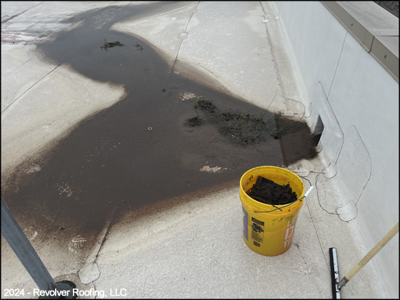 Flat Roof Drainage