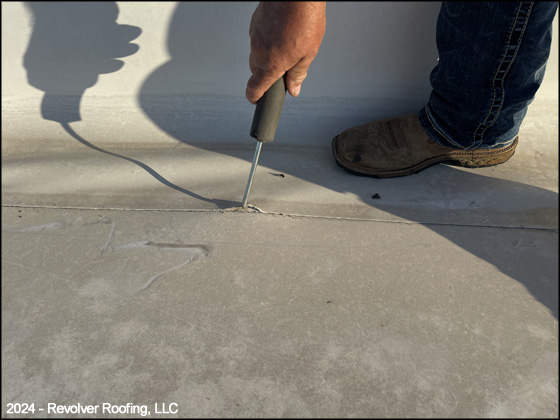 Flat Roof Leak Detection